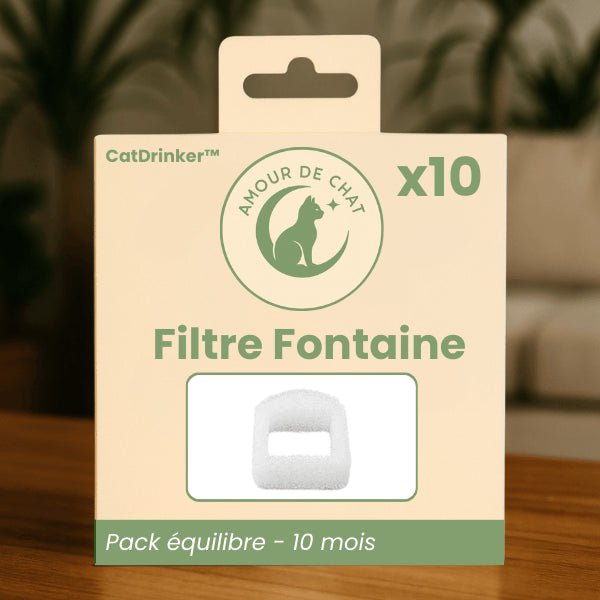 Filtre fontaine a eau chat pour 10 mois pack équilibre par 10 pour fontaine CatDrinker™