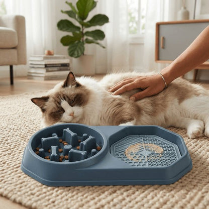 Anti glouton chat double bol et tapis léchage apaise et ralentit alimentation