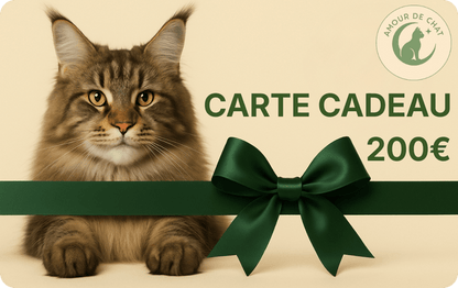 Carte cadeau chat 200 euros plaisir et bonheur félin Amour de Chat