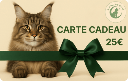 Carte cadeau chat 25 euros plaisir et bonheur félin Amour de Chat