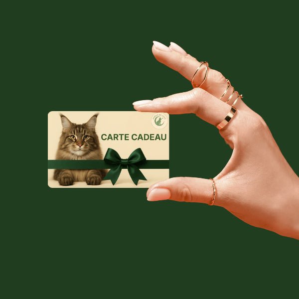 Carte cadeau chat plaisir offrir fête anniversaire noël bonheur félin