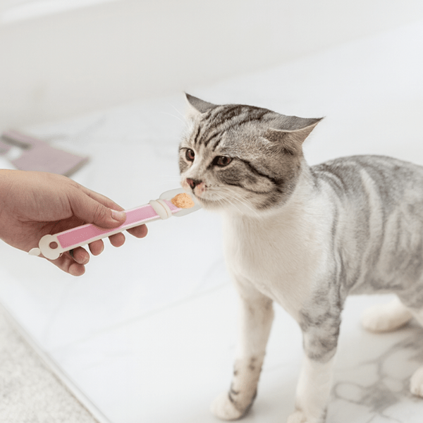 chaton qui lèche distributeur nourriture chat gris MeowSpoon™