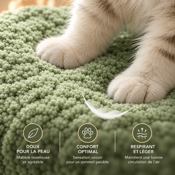 Coussin chaton en peluche respirante douce pour les pattes et la fourrure