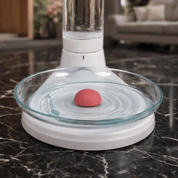 Distributeur à eau chat sans électricité et sans filtre avec bol large et base stable pour hydratation continue