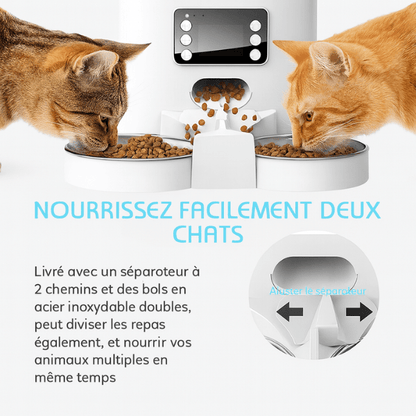 Distributeur automatique de croquettes chat plusieurs chats famille multi-chats | TwinBowl Feeder™