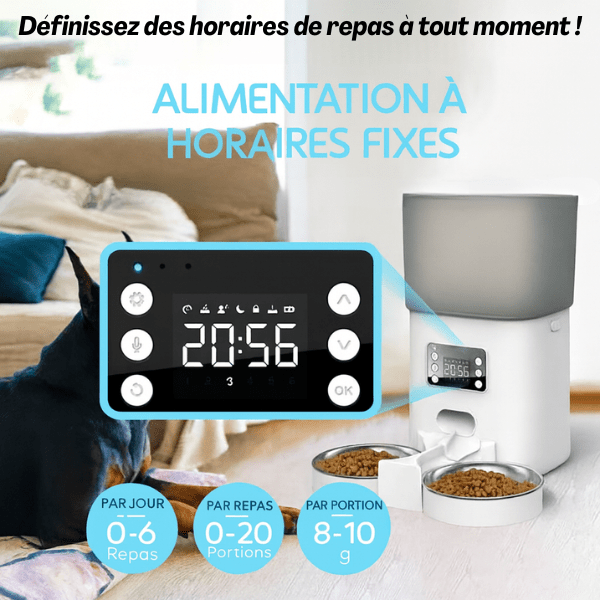 Distributeur automatique de croquettes chat programmable aliments par portion | TwinBowl Feeder™
