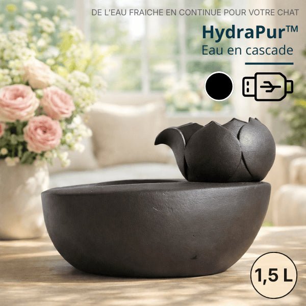 Distributeur eau pour chat en céramique noir mat pour jet doux en cascade style lotus – HydraPur™