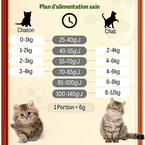 Distributeur croquette chat controlé plan alimentation sain chat chaton | MegaFeeder Control™ - Amour de Chat