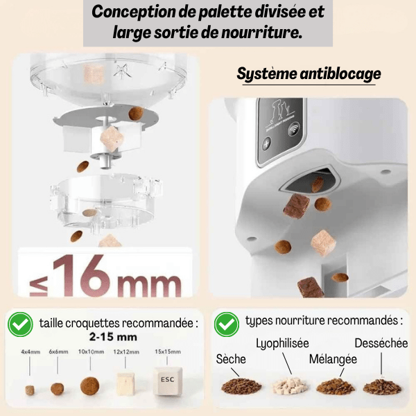 Distributeur croquette chat automatique adapté tout aliment | Royal Feeder™ - Amour de Chat