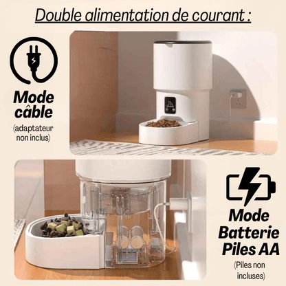 Distributeur croquette chat intelligent double source énergie batterie | Royal Feeder™ - Amour de Chat