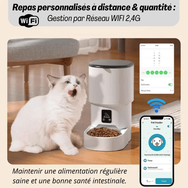Distributeur croquette chat wifi réseaux 4G application | Royal Feeder™ - Amour de Chat