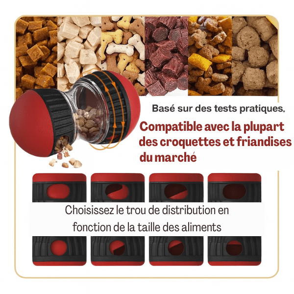 Distributeur de croquettes pour chat multifonction adapté plusieurs types d'aliments - Whisker Maze™