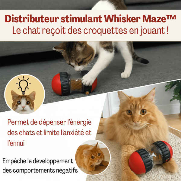 Distributeur de croquettes pour chat stimulant mental soulage l'anxiété et l'ennui - Whisker Maze™