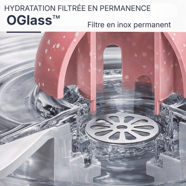 Distributeur eau chat à filtre permanent en inox vue intérieure des composants