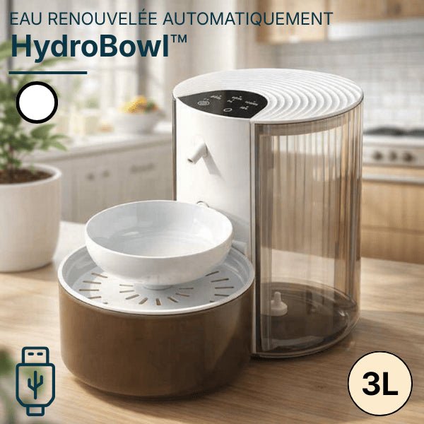 Distributeur eau chat automatique intelligent sans fil avec bol renouvelé automatiquement blanc noir