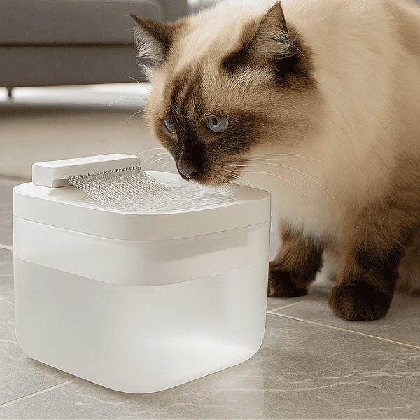 Bol d'eau en hauteur confortable de la fontaine à eau pour chat multi-jets
