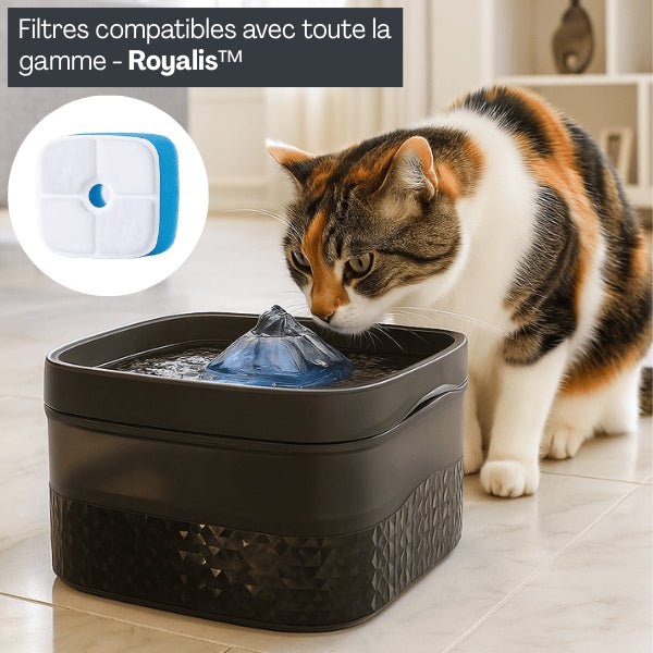 Filtre distributeur eau chat compatible gamme distributeur Royalis™