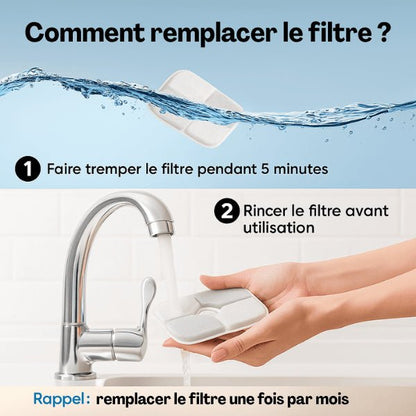 Filtre distributeur eau chat conseil remplacement avant utilisation distributeur Royalis™
