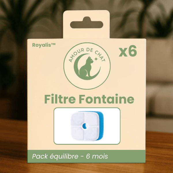Filtre fontaine à chat pack équilibre par 6 pour 6 mois d'eau propre et saine - Royalis™