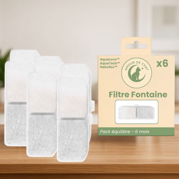 Filtre fontaine chat longue durée pour 6 mois pack équilibre par 6 pour 3 fontaines