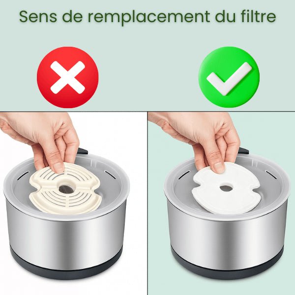 Filtre fontaine eau chat facile à installer conseil remplacement pour fontaine PearlFlow™