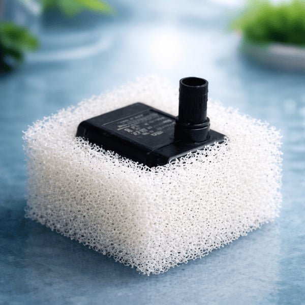 Filtre pour pompe fontaine à eau chat installé autour de la pompe