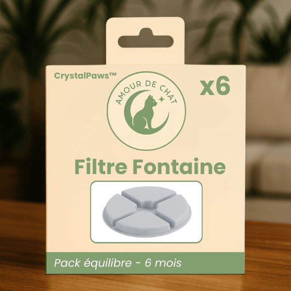 Filtre pour fontaine à eau chat durée 6 mois pack équilibre par 6 fontaine céramique CrystalPaws™