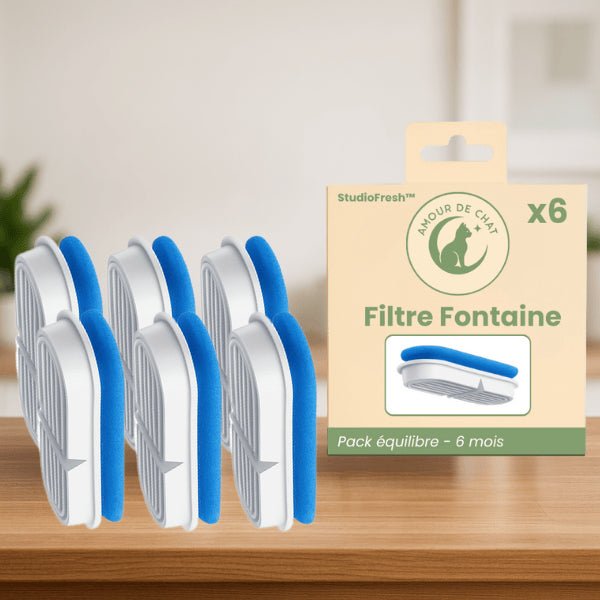Filtres fontaine chat par 6 durée 6 mois pack équilibre pour fontaine a eau chat design Studiofresh™