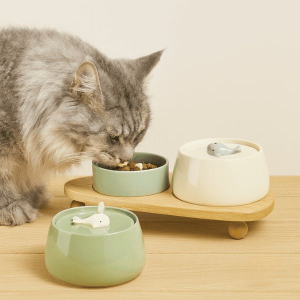 Fontaine à eau chat ceramique artisanale blanc crème et vert olivier repas maine coon NaturaFresh™