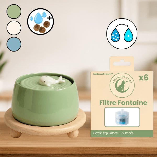 Fontaine à eau chat céramique automatique 3 couleurs et repas gamelle ou pack filtre fontaine chat NaturaFresh™