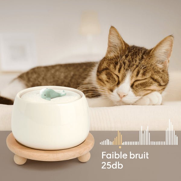 Fontaine à eau chat ceramique silencieuse blanc crème support bois naturel 25 décibels NaturaFresh™