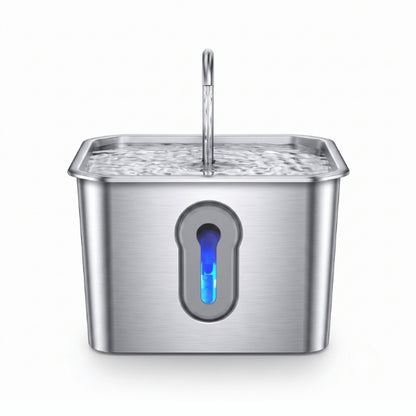 Fontaine à eau chat filaire robinet pour eau oxygénée hydratation continue en inox