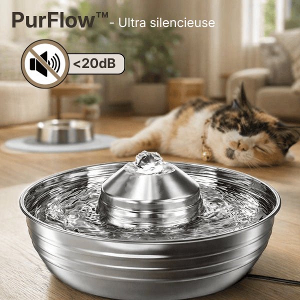Fontaine à eau chat en inox silencieuse idéale pour chats sensibles au bruit