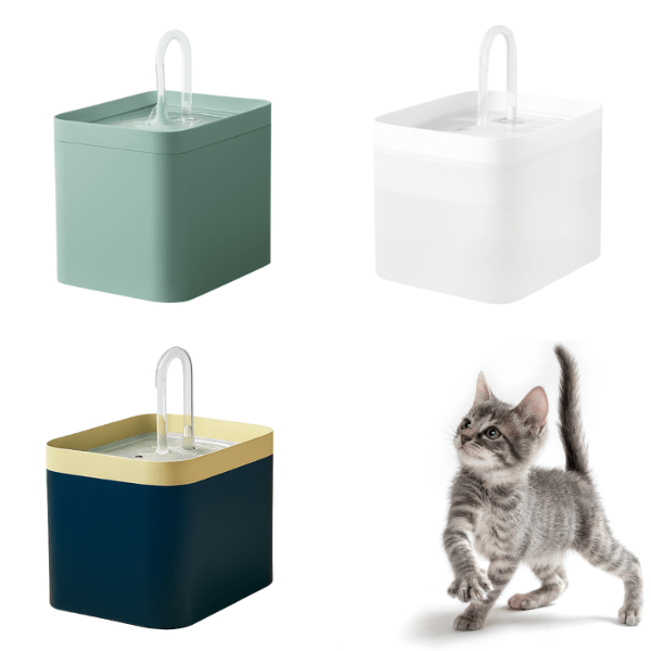 Fontaine a eau chat robinet trois couleurs vert blanc jaune bleu exposition Robyss™