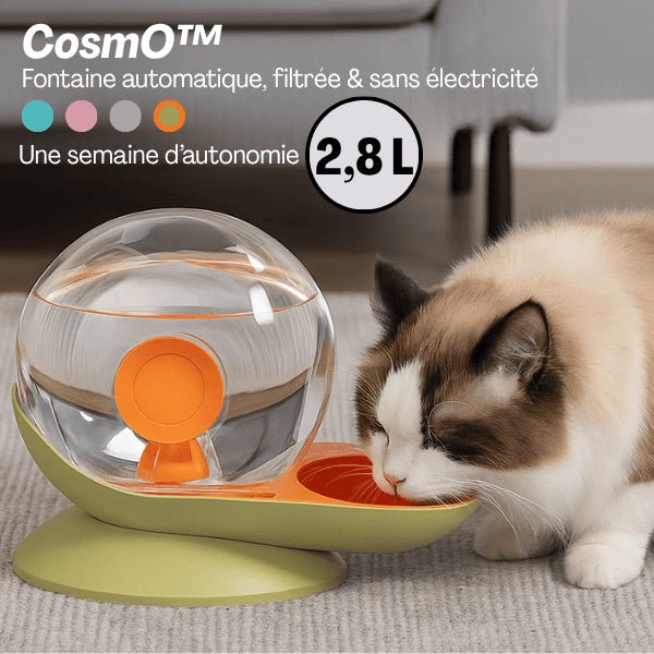 Fontaine à eau chat sans électricité grande autonomie une semaine félin boit dans CosmO™