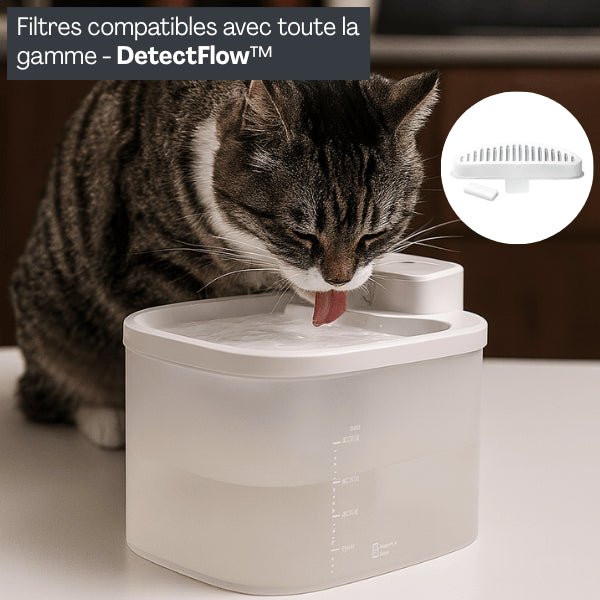 Fontaine a eau chat sans fil filtrée avec filtre fontaine chat compatible DetectFlow™ eau pure