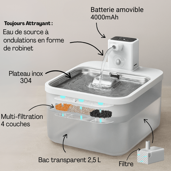 Fontaine a eau pour chat multi-filtration bac inox transparent capacité 2,5 L Olyss™