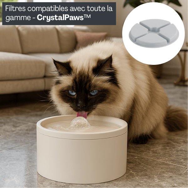 Fontaine a eau pour chat ceramique filtrée avec filtre pour fontaine à eau chat compatible CrystalPaws™