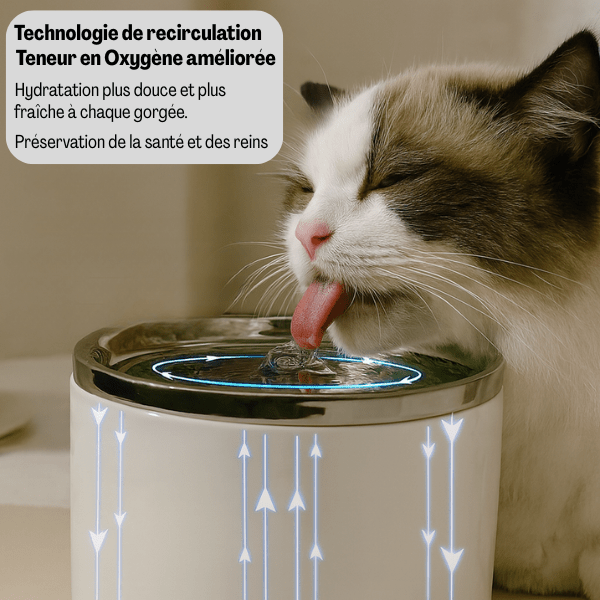 Fontaine a eau pour chat ceramique qualité hydratation saine recirculation eau oxygenée fraîche CrystalPaws™