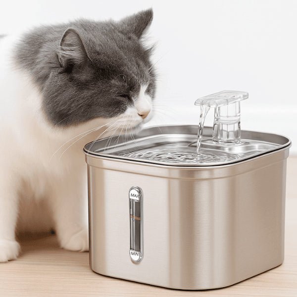 Fontaine chat confort inox meilleure hydratation naturelle félin boit robinet Vortex™