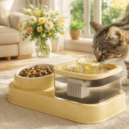 Chat buvant et mangeant avec une fontaine à eau et gamelle combinées DuoFlow™