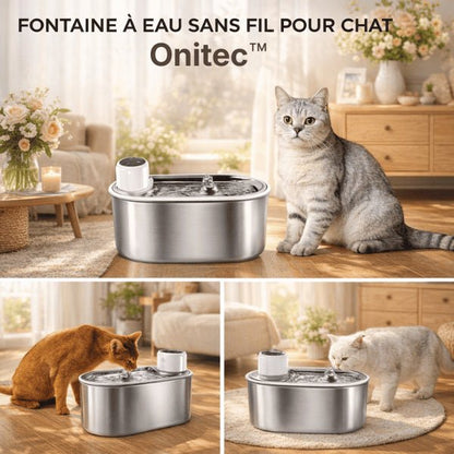 Chat utilisant une fontaine chat sans fil en inox à source centrale