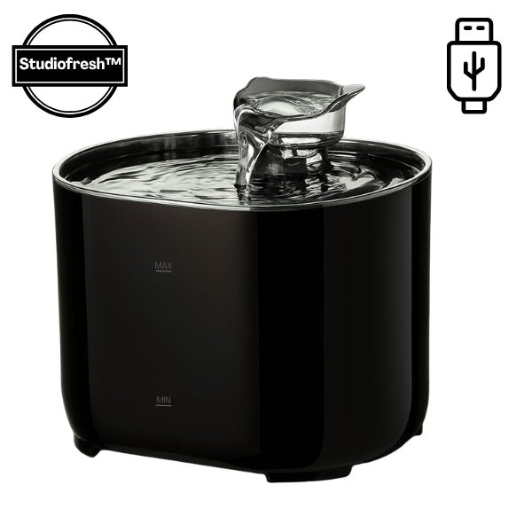 Fontaine eau chat 2L hydratation continue USB noire robinet samouraï automatique Studiofresh™