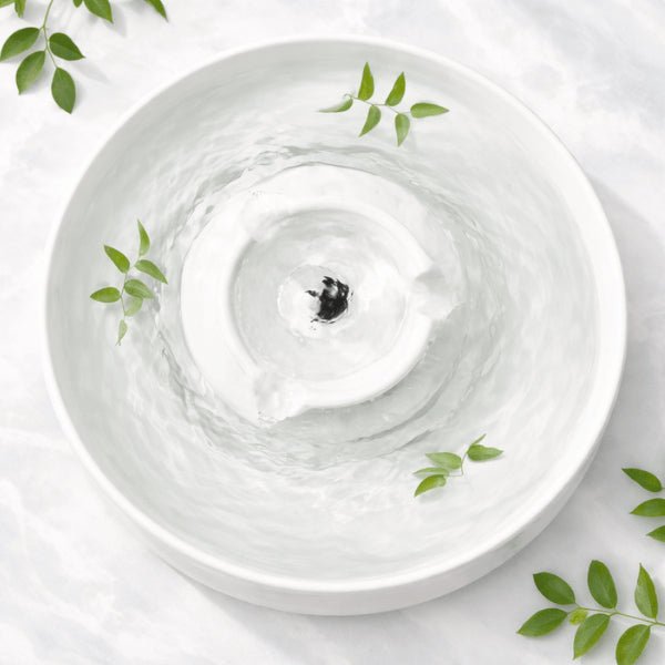 Bol intérieur profond fontaine eau chat céramique filtrée - Organic™