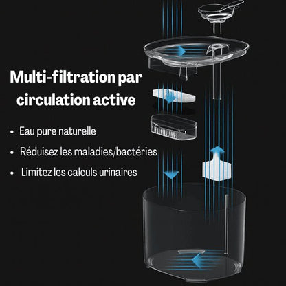 Fontaine eau chat filtrée système multi filtration eau saine circulation active fontaine à chat Studiofresh™