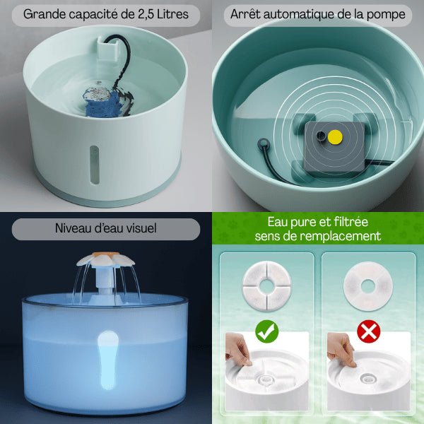 Fontaine eau chat grande capacité 2,5 litres niveau eau et filtre remplacement facile Hydroflor™