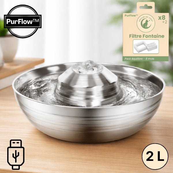 Fontaine eau chat en inox avec filtre intégré et capacité 2 litres à recharge USB