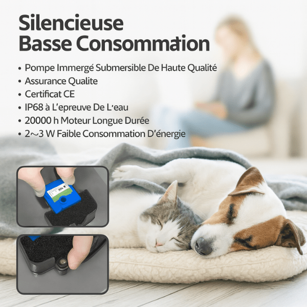 Fontaine eau chat silencieuse basse consommation pompe haute qualité pour sommeil tranquille PearlFlow™