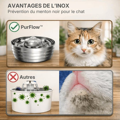 Fontaine pour chat en inox limitant bactéries et menton noir