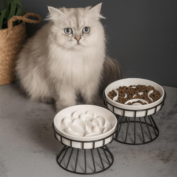 Gamelle anti glouton chat croquettes surélevée par deux et félin blanc